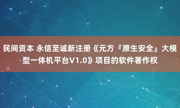民间资本 永信至诚新注册《元方『原生安全』大模型一体机平台V1.0》项目的软件著作权
