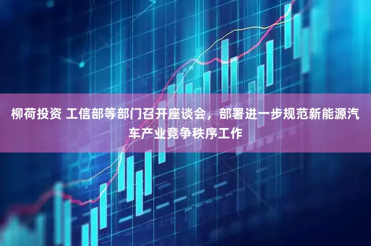 柳荷投资 工信部等部门召开座谈会，部署进一步规范新能源汽车产业竞争秩序工作