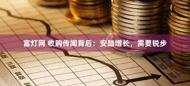 富灯网 收购传闻背后：安踏增长，需要锐步