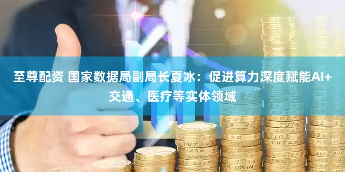 至尊配资 国家数据局副局长夏冰：促进算力深度赋能AI+交通、医疗等实体领域